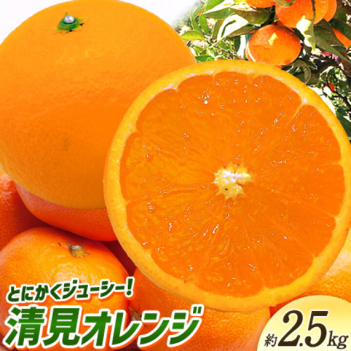 ＜先行予約＞とにかくジューシー 清見 オレンジ 2.5kg 株式会社魚鶴商店《2026年3月下旬-4月中旬頃出荷》和歌山県 日高町 柑橘 果物 フルーツ 清見オレンジ 2156490 - 和歌山県日高町