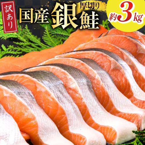 訳あり 国産 減塩 厚切り 塩銀鮭 切身 計 3kg [足利本店 宮城県 気仙沼市 20565950] サーモン 鮭 さけ サケ シャケ 魚 海鮮 魚介 甘塩味 規格外 不揃い 鮭切身 切り身 簡易包装 家庭用 訳アリ 冷凍 塩分控えめ 無添加 2156578 - 宮城県気仙沼市