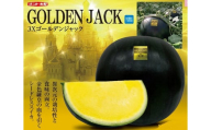 山形村産 ゴールデンジャック 1玉（8kg以上）中川農園 3211