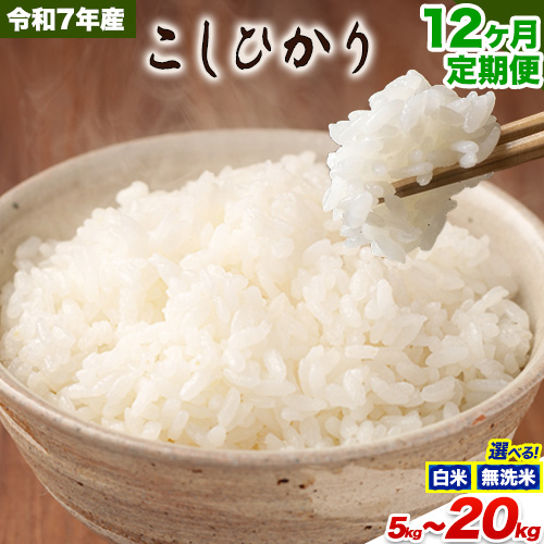 【12ヶ月定期便】無洗米 も 選べる 定期便 こしひかり 白米 or 無洗米 選べる精米方法 定期便 内容量 5kg 10kg15kg 20kg 白米 精米 無洗米 熊本県産(南阿蘇村産含む) 単一原料米 南阿蘇村《お申込み翌月から出荷》 2156630 - 熊本県南阿蘇村
