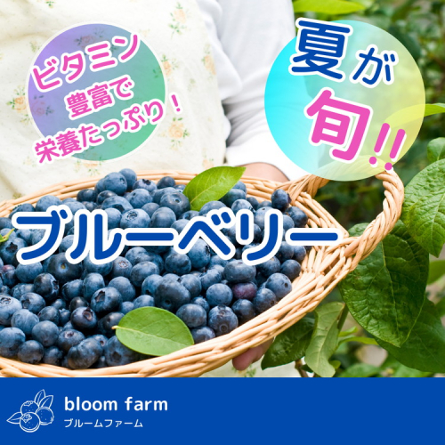 ブルーベリー 訳あり 500g×2パック | 大粒 品種ミックス くだもの 果物 フルーツ ヨーグルト ジャム 国産 愛知県産 ※北海道・沖縄・離島への配送不可 2156784 - 愛知県美浜町