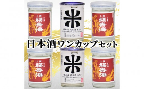 鳥取の地酒(日本酒)ご当地ワンカップ飲み比べセット 180ml×6本 2156826 - 鳥取県鳥取市