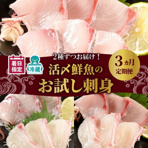 人気のお刺身3ヶ月定期便 少量2種ずつお届け N019-YC911 2156853 - 宮崎県延岡市