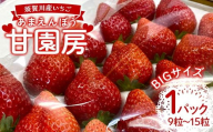 須賀川産いちご「甘園房～あまえんぼう～」BIGサイズ 1パック(9粒～15粒) いちご イチゴ 苺 デザート フルーツ 果物 くだもの 果実 食品 F7X-0155