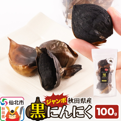 秋田県産 ジャンボ黒にんにく 100g×1パック<ゆうパケット> 2156964 - 秋田県仙北市