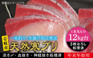 【12キロ台】 【11/1〜1/15お届け 年末年始用】天然 寒ブリ（3枚おろし） 《壱岐市》【壱岐島　玄海屋】[JBS117]  ぶり 寒ぶり ブリ 魚 刺身 しゃぶしゃぶ