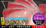【14キロ台】 【11/1〜1/15お届け 年末年始用】天然 寒ブリ（3枚おろし） 《壱岐市》【壱岐島　玄海屋】[JBS119]  ぶり 寒ぶり ブリ 魚 刺身 しゃぶしゃぶ