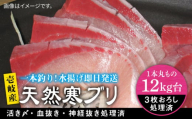 【12キロ台】 壱岐島産 天然寒ブリ（3枚おろし） 《壱岐市》【壱岐島　玄海屋】[JBS111]  ぶり 寒ぶり ブリ 魚 刺身 しゃぶしゃぶ ぶりしゃぶ 天然
