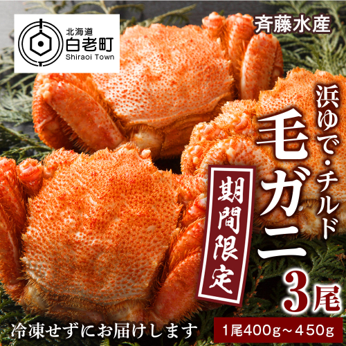 ★期間限定★ 浜ゆで！毛ガニ 約400g～450g×3尾 チルド配送 7/17～7/30発送【斉藤水産】 北海道 冷蔵 チルド 毛蟹 カニ かに 白老 前浜 2157383 - 北海道白老町