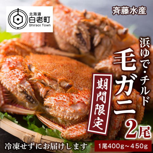 ★期間限定★ 浜ゆで！毛ガニ 約400g～450g×2尾 チルド配送 7/17～7/30発送【斉藤水産】 北海道 冷蔵 チルド 毛蟹 カニ かに 白老 前浜 2157384 - 北海道白老町