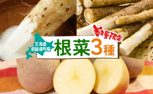 数量限定 根菜3種セット 計8.6kg 土付き 長芋 5kg 土付き ごぼう 1.5kg じゃがいも 1.8kg 11月下旬～12月下旬までのお届け 野菜 詰め合わせ 根菜 常温 青野農園 北海道 洞爺湖町 2157438 - 北海道洞爺湖町