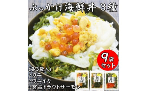 メカブ・イクラ入り!川秀のぶっかけ海鮮丼の具(ウニイカ・カニ・宮古トラウトサーモン)計9袋冷凍セット【1635147】 2157599 - 岩手県宮古市