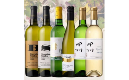 ホンジョー甲州ドライ大樽貯蔵【色】白ワイン【タイプ】辛口【品種】甲州【容量】720ml【Alc】12.5%【特徴】甲州ブドウのフリーラン果汁(一番搾り)を使用し発酵。その後岩崎醸造の歴史を伝える昭和1