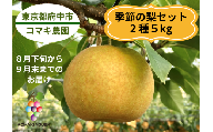 【コマキ農園】季節の梨セット（2種・5kg)