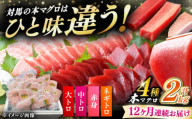 【全12回定期便】 対馬産 本マグロ 4種 計2kg（赤身/中トロ/大トロ/ネギトロ）《対馬市》【対海】 冷凍配送 大容量 新鮮 海鮮丼 手巻き寿司 [WAH036]