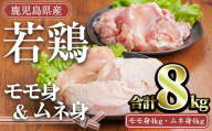 鹿児島県産若鶏セット(合計8kg・モモ4kg、ムネ4kg) 小分け 冷凍 セット【TRINITY】A759