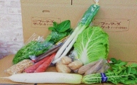 A-05　季節の野菜ふるさとパック