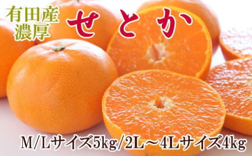 一度は食べていただきたい「有田産のせとか」約4～5kg（サイズおまかせ）※2026年2月中旬～2026年3月上旬頃に順次発送 / 果物 くだもの フルーツ 蜜柑 みかん オレンジ 柑橘 【tecj1024】  2157916 - 和歌山県紀美野町