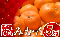 みかん 約5kg はれひめ 蜜柑 柑橘 フルーツ 果物 オレンジ ジュース デザート ケーキ アイス シャーベット ゼリー スイーツ お菓子 ギフト 送料無料 徳島県 三好市 みよし 篠原農園