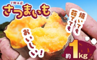 【先行予約】下野市産さつまいも 1kg  | さつまいも 芋 さつまいもご飯 炊き込みご飯 スイートポテト 大学芋 栗きんとん 秋 さつまいも 秋の味覚 栃木県 下野市 しもつけ市
