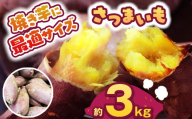 【先行予約】食べやすい焼き芋サイズ 3kg  | さつまいも 芋 さつまいもご飯 炊き込みご飯 スイートポテト 大学芋 栗きんとん 秋 さつまいも 秋の味覚 栃木県 下野市 しもつけ市