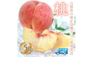 ＜2025年発送＞桃 5kg　株式会社華栄牛産  179-006