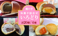 【老舗の菓子屋 鹿の子】和菓子 詰め合わせ「いろどり」4種 20個《築上町》【有限会社 御菓子司 鹿の子】 [ABAC013]