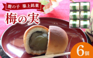 【老舗の菓子屋】築上銘菓「 梅の実 」6 個《築上町》【有限会社 御菓子司 鹿の子】 [ABAC015]