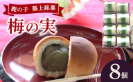 【老舗の菓子屋】築上銘菓「 梅の実 」8 個《築上町》【有限会社 御菓子司 鹿の子】 [ABAC016]