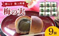 【老舗の菓子屋】築上銘菓「 梅の実 」9 個《築上町》【有限会社 御菓子司 鹿の子】 [ABAC017]
