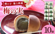 【老舗の菓子屋】築上銘菓「 梅の実 」10 個《築上町》【有限会社 御菓子司 鹿の子】 [ABAC018]