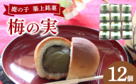 【老舗の菓子屋】築上銘菓「 梅の実 」12 個《築上町》【有限会社 御菓子司 鹿の子】 [ABAC019]