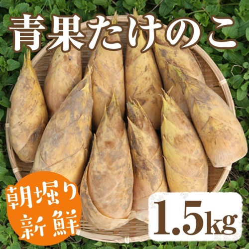 【土日祝着】<先行予約受付中!2026年2月下旬以降順次発送予定>朝堀り青果たけのこ(約1.5kg) 国産 新鮮 タケノコ 青果 竹の子 筍 野菜 春 旬 期間限定【上野食品】akn008-04-B 2158520 - 鹿児島県阿久根市