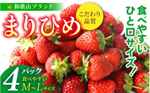 まりひめ イチゴ 4パック 食べやすいひと口サイズ M～L（15粒～20粒入×4パック）【kgr500-ml-4】 2158576 - 和歌山県由良町