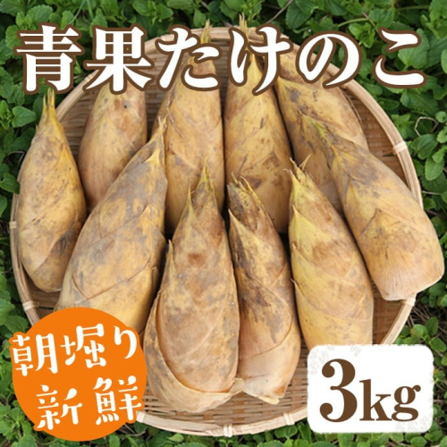 【土日祝着】＜先行予約受付中！2026年2月下旬以降順次発送予定＞朝堀り青果たけのこ(約3kg) 国産 新鮮 タケノコ 青果 竹の子 筍 野菜 春 旬 期間限定【上野食品】akn008-19-B 2158581 - 鹿児島県阿久根市