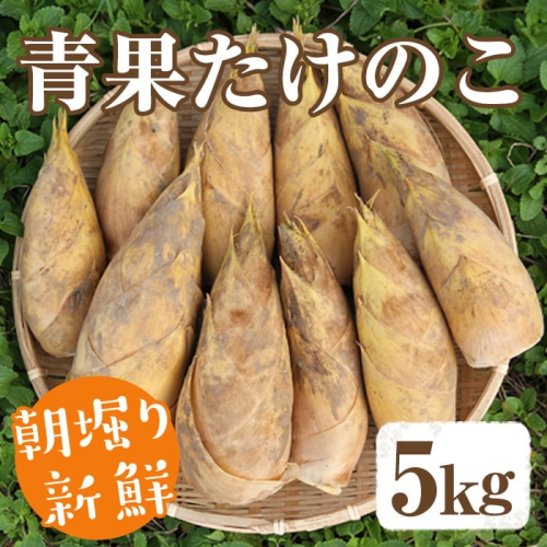 【土日祝着】＜先行予約受付中！2026年2月下旬以降順次発送予定＞朝堀り青果たけのこ(約5kg) 国産 新鮮 タケノコ 青果 竹の子 筍 野菜 春 旬 期間限定【上野食品】akn008-20-B 2158584 - 鹿児島県阿久根市
