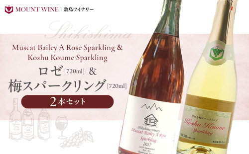 ロゼ 梅スパークリング 720ml × 2本 ワイン わいん ロゼワイン スパークリングワイン 辛口 山梨 甲州 甘口 日本ワイン 国産ワイン ワインセット 飲み比べ 甲斐市 F-31 2158589 - 山梨県甲斐市