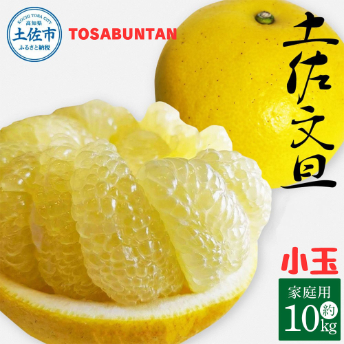 ＜2026年3月より順次発送＞土佐文旦 小玉 家庭用 10kg 23～29玉入り M～Lサイズ 2158593 - 高知県土佐市