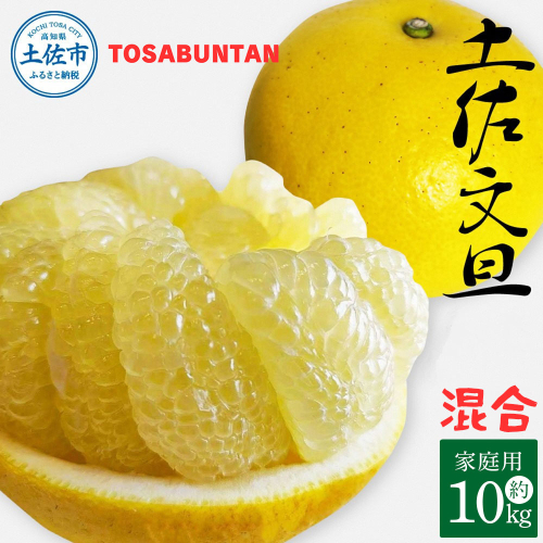 ＜2026年3月より順次発送＞土佐文旦 家庭用 10kg 17～24玉入り L～3Lサイズ混合 2158596 - 高知県土佐市