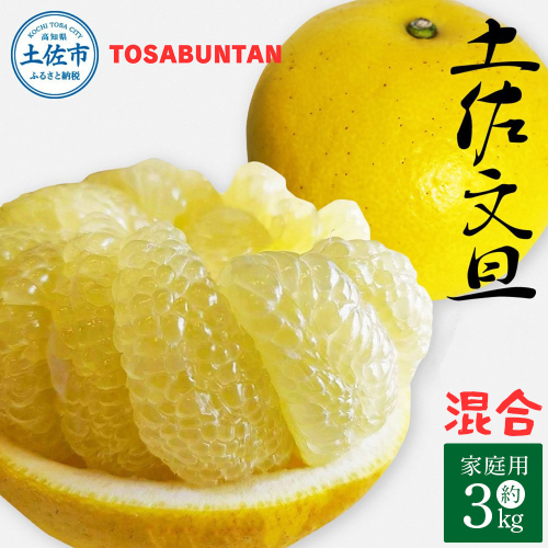 ＜2026年1月下旬より順次発送＞土佐文旦 家庭用 3kg 5～8玉入り L～3Lサイズ混合 先行予約 文旦 ぶんたん ブンタン 柑橘 フルーツ デザート 果物 ご当地 人気 名産 お取り寄せ 土佐 高知 土佐市 2158598 - 高知県土佐市