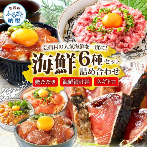 かつおのたたき600g ネギトロ80gx2P 漬け丼の素80g×4P 海鮮セット カツオのタタキ ねぎとろ 真鯛 たい まぐろ マグロ サーモン イカ いか 刺身 魚 海鮮丼 魚介 小分け おかず 個包装 パック 冷凍配送 2158676 - 高知県芸西村