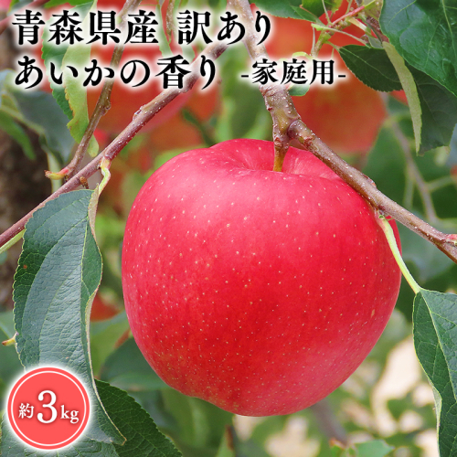 １２月発送　訳あり　家庭用　甚八りんごあいかの香り３kg　【マルジンサンアップル　12月　青森県産　平川市　りんご　あいかの香り　3kg　訳あり　家庭用】 2158678 - 青森県平川市