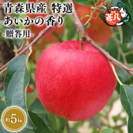 １２月発送　特選　甚八りんごあいかの香り５kg　【マルジンサンアップル　12月　青森県産　平川市　りんご　あいかの香り　5kg　特選　贈答用】
