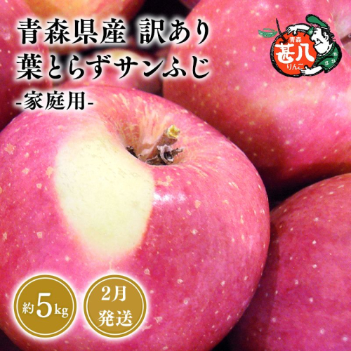 ２月発送 訳あり 家庭用 甚八りんご葉とらずサンふじ5kg 【マルジンサンアップル 2月 青森県産 平川市 りんご 葉とらずサンふじ 5kg 訳あり 家庭用】 2158683 - 青森県平川市