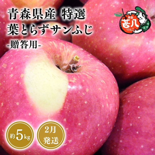 ２月発送 特選 甚八りんご 葉とらずサンふじ5kg 【マルジンサンアップル 2月 青森県産 平川市 りんご 葉とらずサンふじ 5kg 特選 贈答用】 2158688 - 青森県平川市