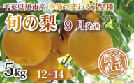 【 先行予約 】【 9月発送 】旬の梨 約 5kg 幸水 豊水 あきづき 12 ～ 14玉 梨 なし 梨産地 甘い 旬 夏果物 2025年発送 先行予約 果肉 しゃりしゃり 水水しい みずみずしい 糖度 くだもの 果物 フルーツ 旬のフルーツ 冷蔵 ふるさと納税 産地 送料無料 千葉県 千葉 旭市 旭市産 まる吉園 mkn004