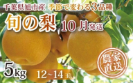 【 先行予約 】【 10月発送 】旬の梨 約 5kg 幸水 豊水 あきづき 12 ～ 14玉 梨 なし 梨産地 甘い 旬 夏果物 2025年発送 先行予約 果肉 しゃりしゃり 水水しい みずみずしい 糖度 くだもの 果物 フルーツ 旬のフルーツ 冷蔵 ふるさと納税 産地 送料無料 千葉県 千葉 旭市 旭市産 まる吉園 mkn005