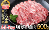 うしの中山 切り落とし焼肉用500g×1P 黒毛和牛 和牛 肉 牛肉 国産 九州産 鹿児島県産 焼肉 日本一 b0-202
