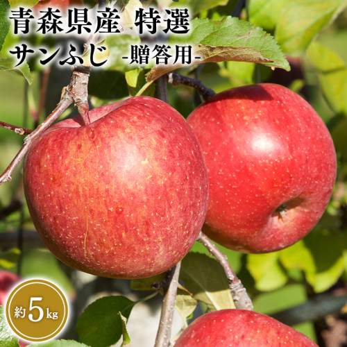 ４月発送　特選　甚八りんごサンふじ5kg　【マルジンサンアップル　４月　青森県産　平川市　りんご　サンふじ　5kg　特選　贈答用】 2158867 - 青森県平川市