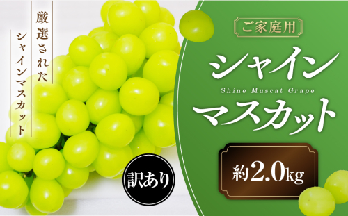 フルーツ王国山梨から、シャインマスカットをお届けします。
【2025年発送】 ご家庭用 シャインマスカット 約2.0kg 先行予約 先行 予約 山梨県産 産地直送 フルーツ 果物 くだもの ぶどう ブドウ 葡萄 シャイン シャインマスカット 新鮮 人気 おすすめ 国産 不揃い 訳あり わけあり ワケアリ 山梨 甲斐市 糖度18度～糖度20度 AN-131 2158880 - 山梨県甲斐市